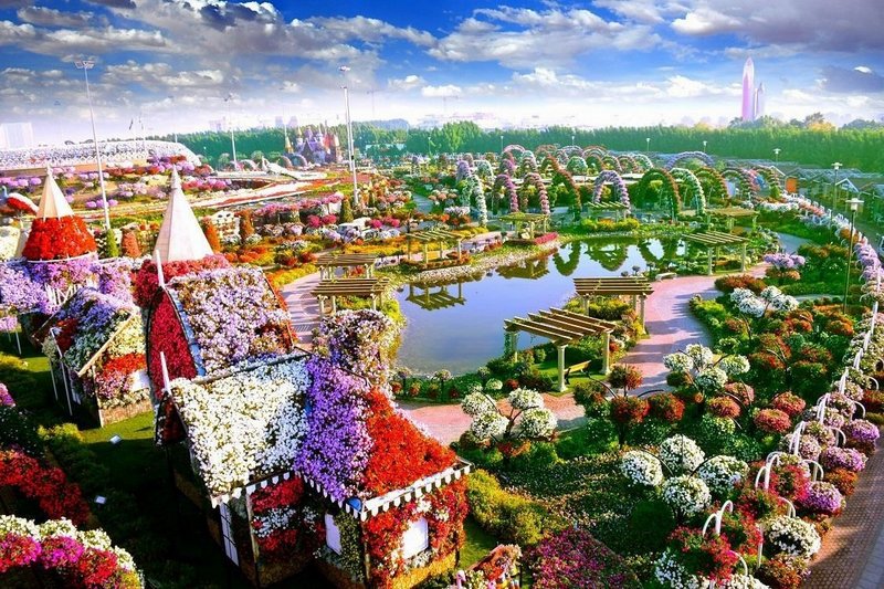 miracle garden