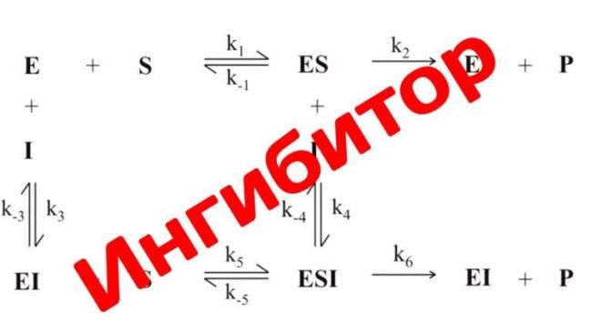 kak pravilno zaryazhat novyj smartfon 768x433